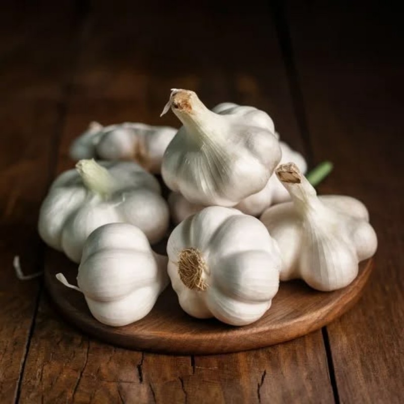 Garlic